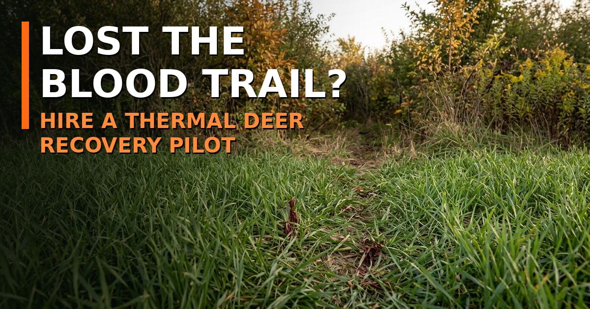 Lost deer blood trail leading into a brushy thicket, how much does drone deer recovery cost